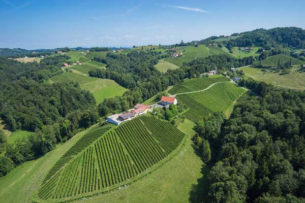 Das Weingut Peter Masser in Leutschach, Südsteiermark. Foto: Christian Freydl