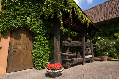 Weingut Schales. Foto: Markus Dlouhy