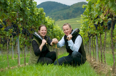 Weingut Wilhelmshof, Siebeldingen: Diesmal waren die Qualitätsbetriebe die ersten bei der Lese.