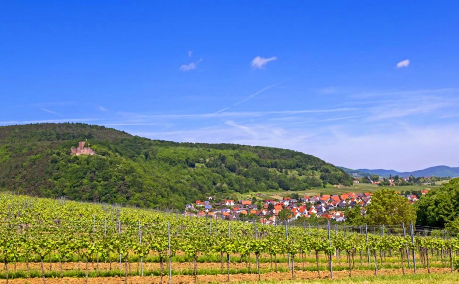 5 Besondere Orte In Der Pfalz Wo Versteckte Schonheit Wartet