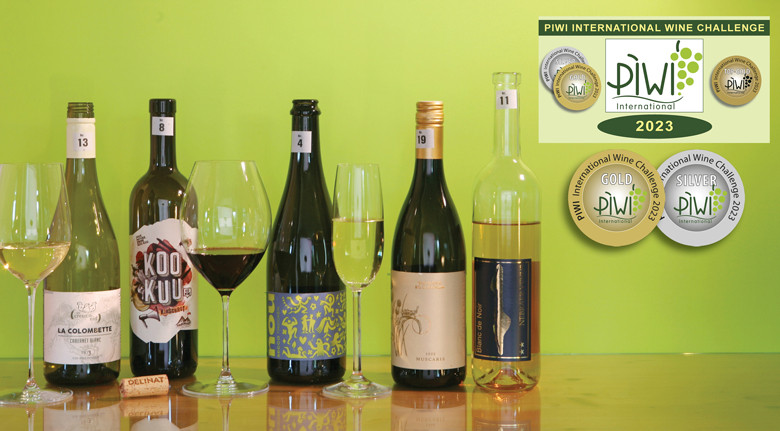 Leicht trocken lecker: die Winner beim PIWI International Wine Challenge 2023 in Kategorie 1 trocken bis 12% - aus pilzwiderstandsfähigen Rebsorten – viel weniger gespritzt'