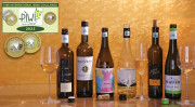 Die besten PIWI-Weine für alle, die’s gern milder mögen TOP GOLD und GOLD bei der PIWI International Wine Challenge 2023 – viel weniger gespritzt