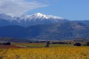 Roussillon-Landschaft