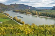 Weinberge an der Donau in der Wachau – Österreich ist in den USA zum besten Weinreise-Ziel Europas gekürt worden.