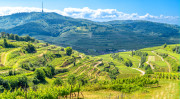 Weinlandschaft im Kaiserstuhl, vulkanisch und Lössterrassen. Foto:  Sina Ettmer - Adobestock