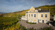 Domäne Wachau - hat sich in die Topliga katapultiert! Im Bild: das Repräsentationsgebäude Kellerschlössel Dürnstein