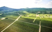 Weingut Jammertal in Ungarn