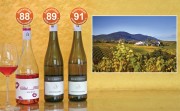 Weine mit dezenter süffiger Restsüße: beste der bonvinitas Weinbewertung 28.4.2021. Sehr Gutes aus der Pfalz: Rosé, Gewürztraminer, Gelber Muskateller. Rechts: Das Weingut Erlenwein zwischen Ilbesheim und Leinsweiler, im Hintergrund der Pfälzer Wald