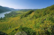 - Ried Achleiten im Weinbaugebiet Wachau in Niederösterreich.