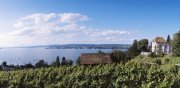 Arenenberg Blick über das Schlossanwesen zur Insel Reichenau. Foto: Thurgau-Tourismus