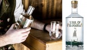 Gewinnspiel: 3 x 1 Flasche Gin von Münchner Spirituosen_BEENDET