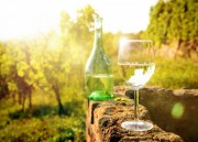 Weißwein und weiße Reben auf dem Vormarsch - im Anbau legen vorneweg weiße Burgundersorten zu, Riesling bleibt Nr. 1