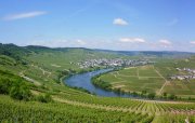 Weingut Blees Ferber