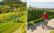 Zum Geisenheimer Web-Seminar Weintourismus. Links: Wanderer auf dem Pfälzer Weinsteig bei Leinsweiler. Foto: Dominik Ketz, RPT GmbH, Südliche Weinstraße. Rechts: Radfahrer bei Hagnau am Bodensee. Foto: Winzerverein Hagnau