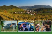 Tagesweintouren mit WeinX1 durch Österreichs Weinregionen mit Michael Höffken von Wien oder Neusiedl aus. Oben Spitz an der Donau in der Wachau