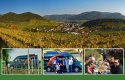 Tagesweintouren mit WeinX1 durch Österreichs Weinregionen - klimatisierter kleiner Bus