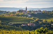 Die sanfte, hügelige Weinregion Brda in Slovenien, im Bild Biljana