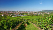 Die fröhliche Weinstadt Heilbronn - Groß- und Unistadt mit gleichzeitig viel Weintradition und Weinfesten. Foto: Manuel Schönfeld - stock.adobe.com