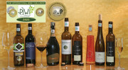 Großartige Weine aus PIWI-Rebsorten – 8 TOP GOLD Weine aus pilzwiderstandsfähigen Rebsorten bei der PIWI International Wine Challenge 2023
