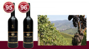 95 and 96 bonvinitas points: Two international red wines from the edge of the Black Forest: Merlot and Red Wine Cuvée, Collection Imperial, from the winery Waldulmer Winzergenossenschaft