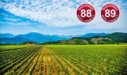 Weinbewertung 29.8.2019: zwei sehr gute rote Saperavi aus Georgien - aus der Provinz Kachetien von Chelti Estate ausgebaut in Qvevri – und mehr über Georgien