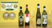 Ausgezeichnete Weißweine trocken aus pilzwiderstandsfähigen Rebsorten GOLD und TOP GOLD bei der PIWI International Wine Challenge 2023