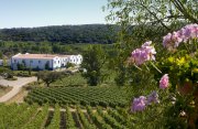 Die Adega da Ravasqueira – ein Weingut im Alentejo.