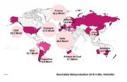 Quelle: OIV, Internationale Organisation für Rebe und Wein