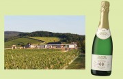 Kloster Eberbach bringt ausgezeichneten Sparkling Riesling alkoholfrei. Links: Steinberg mit dem Steinbergkeller der Domänen Kloster Eberbach Hessische Staatsweingüter