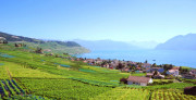 Das Weinbaugebiet Lavaux am Genfer See. Im Bild der Flecken Grandvaux, der heute zur Gemeinde Bourg-en-Lavaux gehört. Foto: OTV / L. Ryser