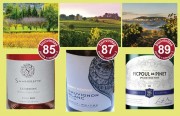Weine bei Aldi Süd: Frankreich Rosé und Weiß - aus der internen bonvinitas Weinbewertung vom 30.3.2020. Fotos oben von links: Landschaften im Luberon, in Haute-Poitou und wo der Picpoul de Pinet gewachsen ist am Mittelmeer