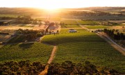 Byrne Vineyard: Reben im Clare Valley in South Australia