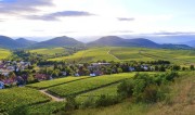 Die deutschen Weinbau-Betriebe werden größer, Durchschnitt auf 6,6 ha gewachsen – knapp 10% ökologisch. Im Bild: Blick von der Kalmit über Ilbesheim auf den Pfälzer Wald. Foto: Dynamoland - stock.adobe.com