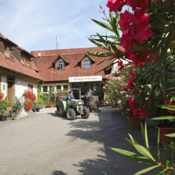 Weingut-Behringer-3_web