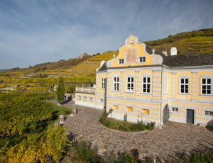 Domäne Wachau - hat sich in die Topliga katapultiert! Im Bild: das Repräsentationsgebäude Kellerschlössel Dürnstein