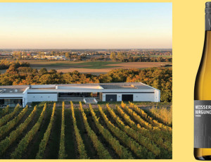 Das Weingut Weber im badischen Ettenheim mit exzellenten Weinen und Restaurant mit phantastischer Aussicht