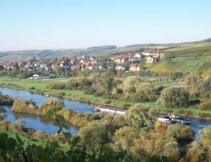 Obereisenheim in Franken, das direkt ans Mainufer reicht. Über den Ort zieht sich die Lage Höll bis nach Untereisenheim, die mit Muschelkalkböden nach Südosten Richtung Main abfällt und als sehr gute gelten darf.