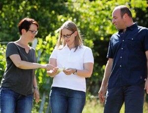 Weingut Knöll und Vogel (von links): Sandra Vogel, Nicole Vogel und ihr Ehemann Stefan Trutter. Foto: Melanie Hubach