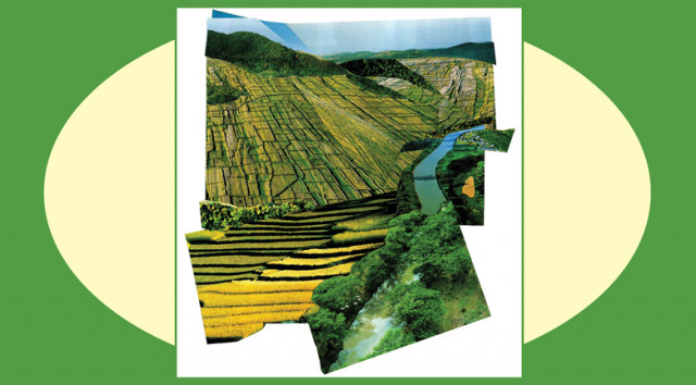 Die Mosel und ihre Weinberge – künstlerisch festgehalten von Alexandra Schmiedebach