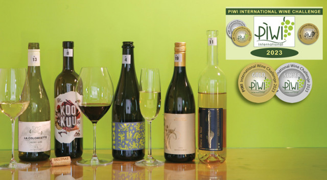 Leicht trocken lecker: die Winner beim PIWI International Wine Challenge 2023 in Kategorie 1