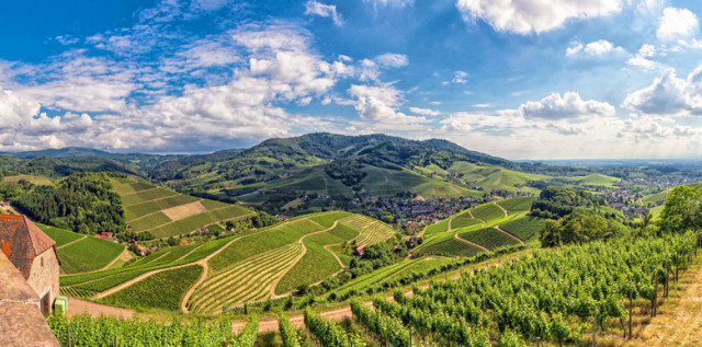 Kaiserstuhl und Ortenau: Herzstücke des Genießerlandes Baden