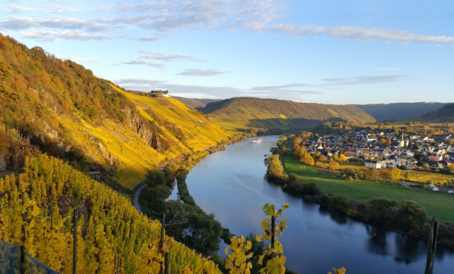 Elegante, reife Rieslinge: Eindrücke von der Mosel