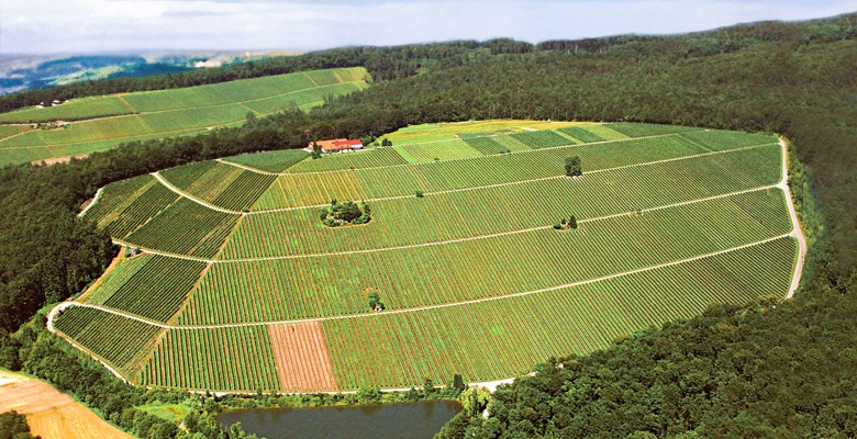 Das Weingut Amalienhof hoch auf dem Steinberg bei Beilstein/Württemberg