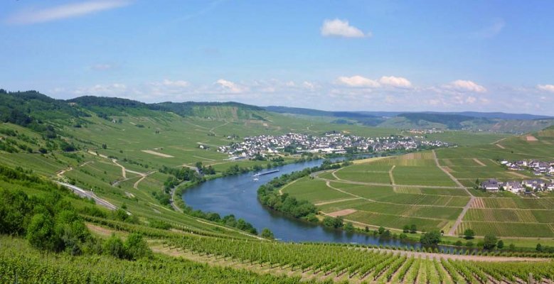 Weingut Blees Ferber