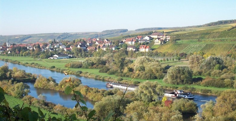 Obereisenheim in Franken, das direkt ans Mainufer reicht. Über den Ort zieht sich die Lage Höll bis nach Untereisenheim, die mit Muschelkalkböden nach Südosten Richtung Main abfällt und als sehr gute gelten darf.