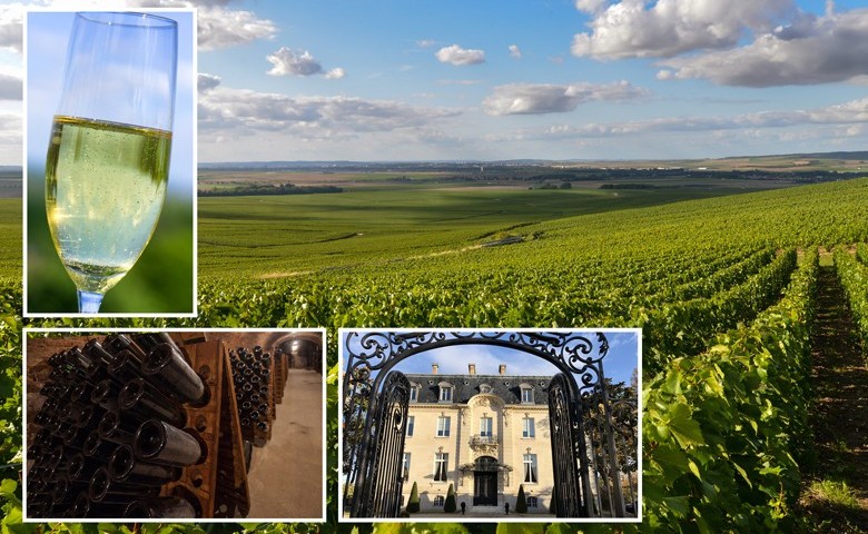 Die Weite der Champagne mit ihren Reben beim Reims, Rüttelpulte sowie ein Schnappschuss von der Avenue de Champagne in Epernay