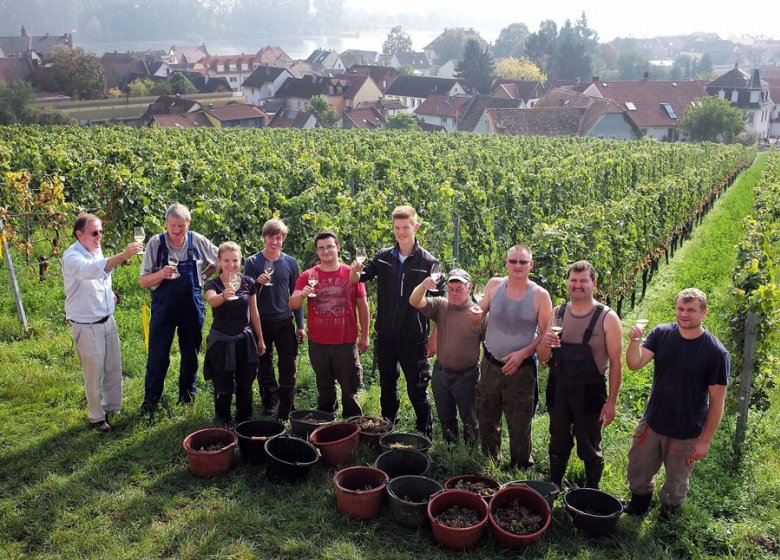 Wie Wird Der Oktober Wie Wird Der Oktober