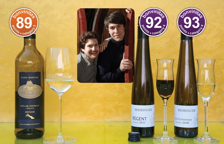 Weinbewertung v. 17.6.2019: Sehr gute Müller-Thurgau Spätlese lieblich und zwei große edelsüße Auslesen vom Weingut und Weinhaus Ernst und Adolf Behringer. Die besten der Kategorien 3 und 4. Im Bild die engagierten Weinmaker Bernd und Thomas Behringer