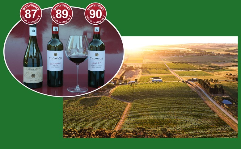 beste Rotweine aus Südaustralien der bonvinitas Weinbewertung am 14.8.2020 - von Byrne Vineyards in Norwood / Adelaide. Landschaftsfoto: Reben im Clare Valley