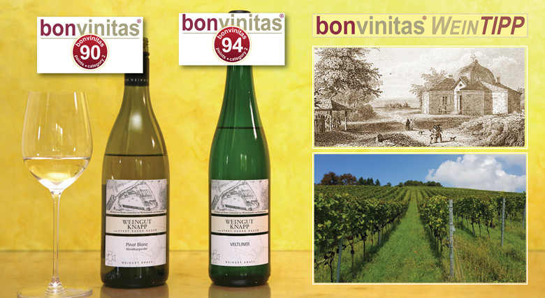 Weißburgunder mit langer Frische auf der Zunge, Veltliner mit viel Persönlichkeit: bonvinitas Weintipp 90 und 94 Punkte – vom Weingut Knapp, Baden-Baden. Der Weinberg ist der Veltliner Weinberg.